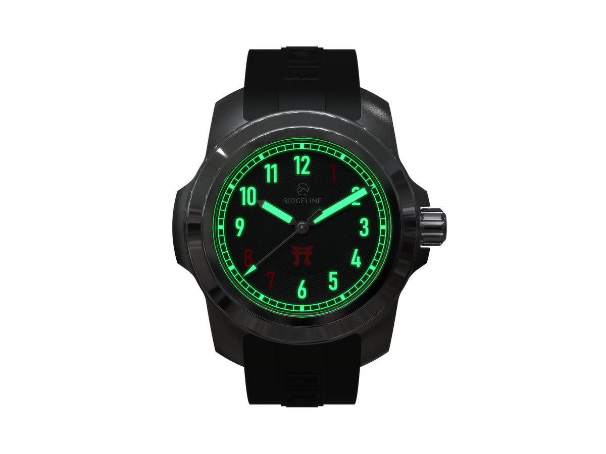 101st Airborne Rakkasans Edition — lifestyle image 1